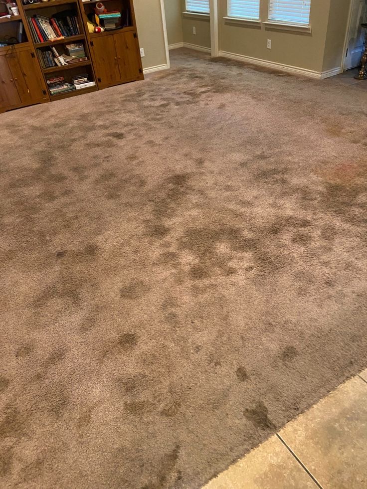 Before: living-room carpet with heavy soiling and traffic staining across the floor